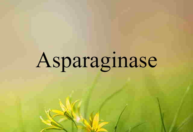 asparaginase