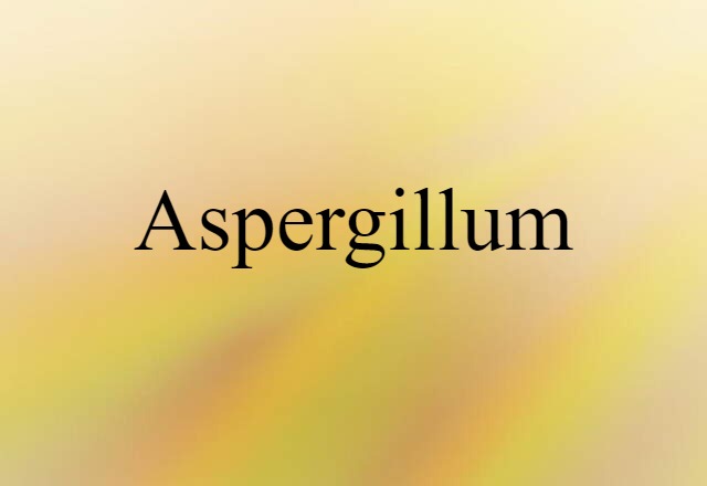 aspergillum