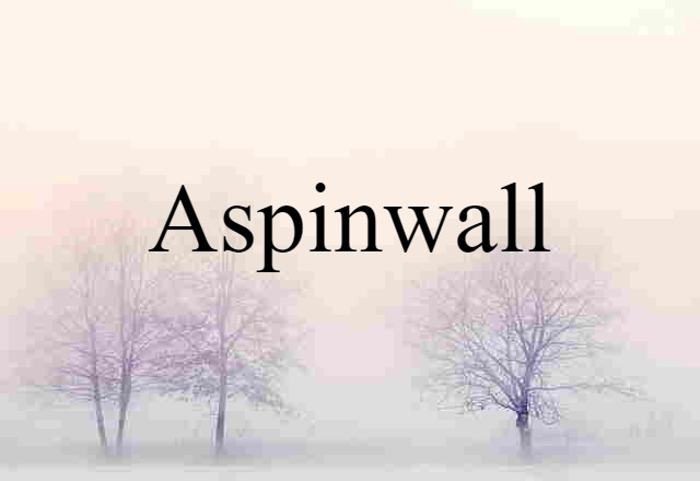 Aspinwall (noun) Definition, Meaning & Examples