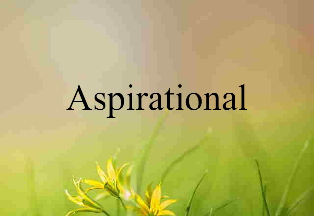 Aspirational (noun) Definition, Meaning & Examples