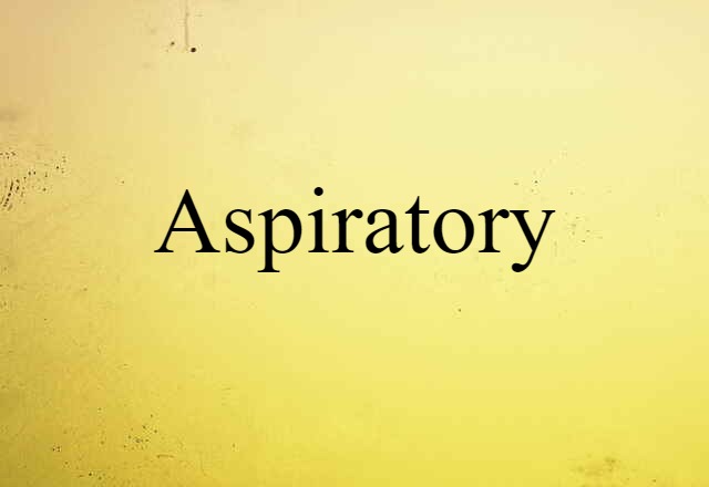 Aspiratory (noun) Definition, Meaning & Examples