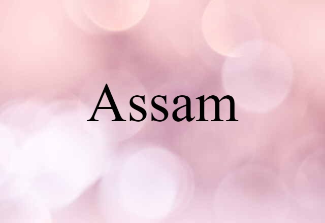 Assam (noun) Definition, Meaning & Examples