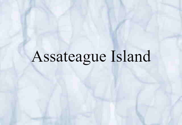 Assateague Island