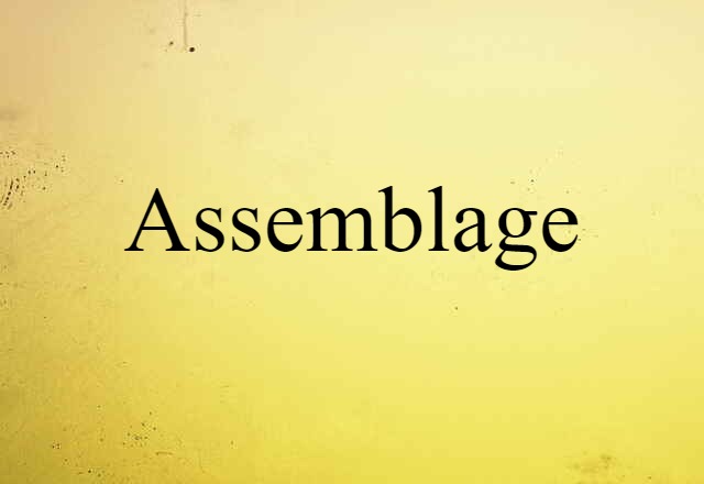 Assemblage (noun) Definition, Meaning & Examples