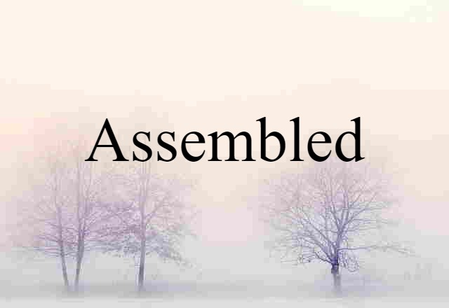 Assembled (noun) Definition, Meaning & Examples