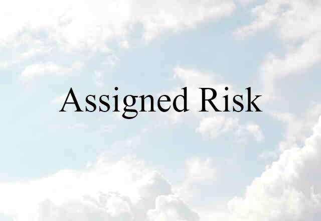 Assigned Risk (noun) Definition, Meaning & Examples