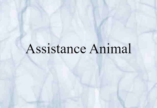 assistance animal