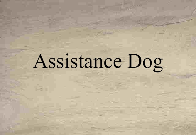 assistance dog