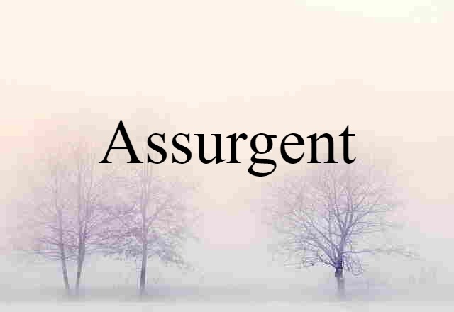 Assurgent (noun) Definition, Meaning & Examples