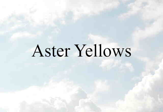 Aster Yellows (noun) Definition, Meaning & Examples