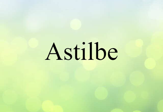 astilbe