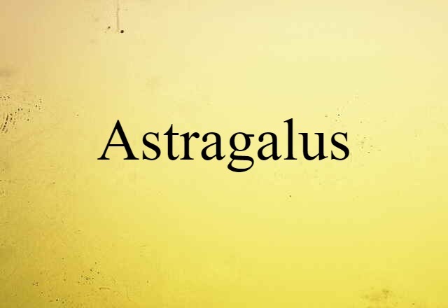 astragalus