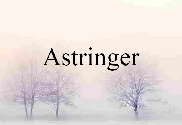 Astringer (noun) Definition, Meaning & Examples