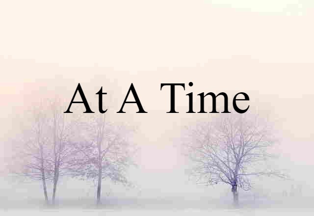 At A Time (noun) Definition, Meaning & Examples