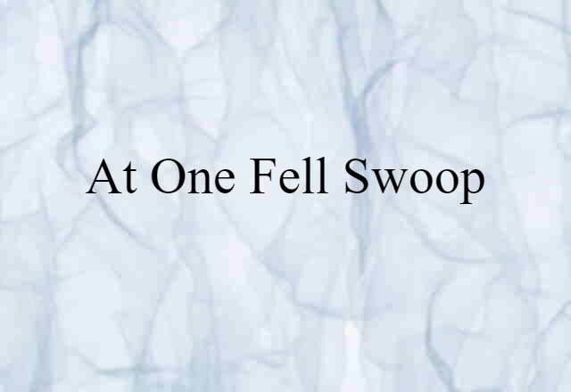 At One Fell Swoop (noun) Definition, Meaning & Examples