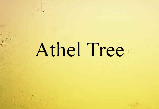 athel tree