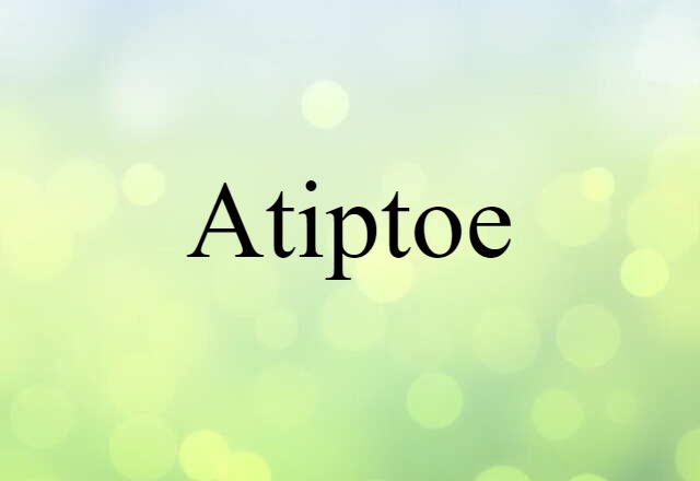 Atiptoe (noun) Definition, Meaning & Examples