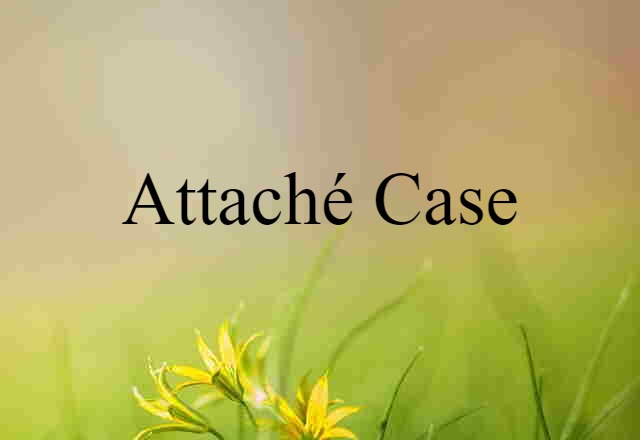 Attaché Case (noun) Definition, Meaning & Examples