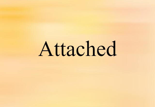 Attached (noun) Definition, Meaning & Examples