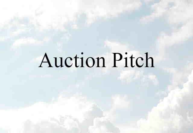 auction pitch