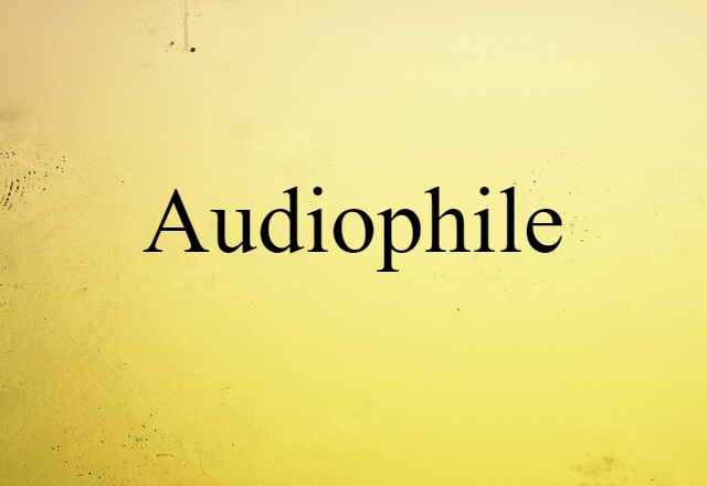 Audiophile (noun) Definition, Meaning & Examples