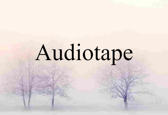 Audiotape (noun) Definition, Meaning & Examples