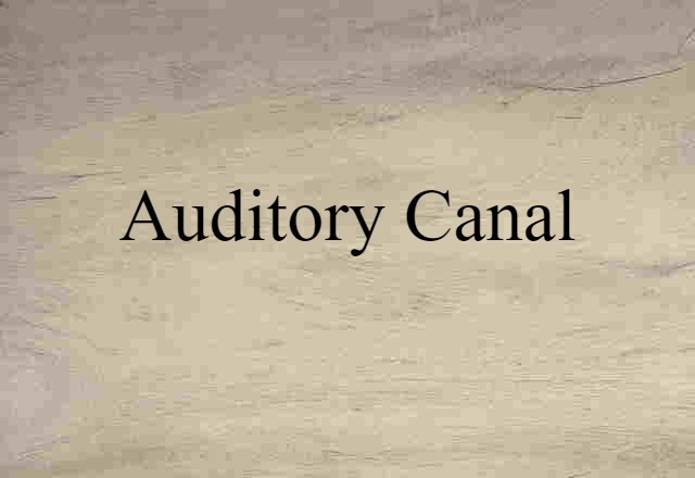 Auditory Canal (noun) Definition, Meaning & Examples