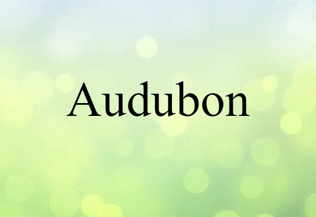 Audubon (noun) Definition, Meaning & Examples