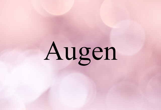 Augen (noun) Definition, Meaning & Examples