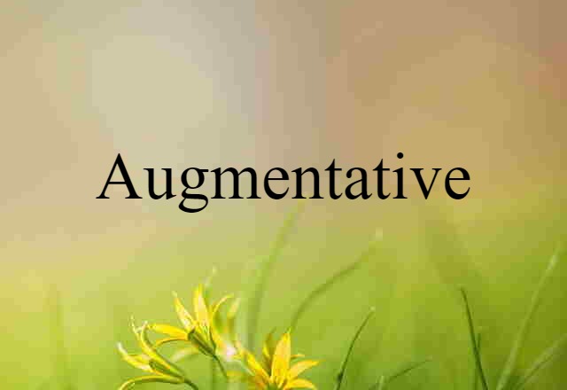 Augmentative (noun) Definition, Meaning & Examples