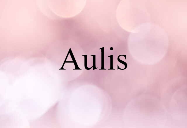 Aulis (noun) Definition, Meaning & Examples