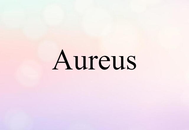 Aureus (noun) Definition, Meaning & Examples