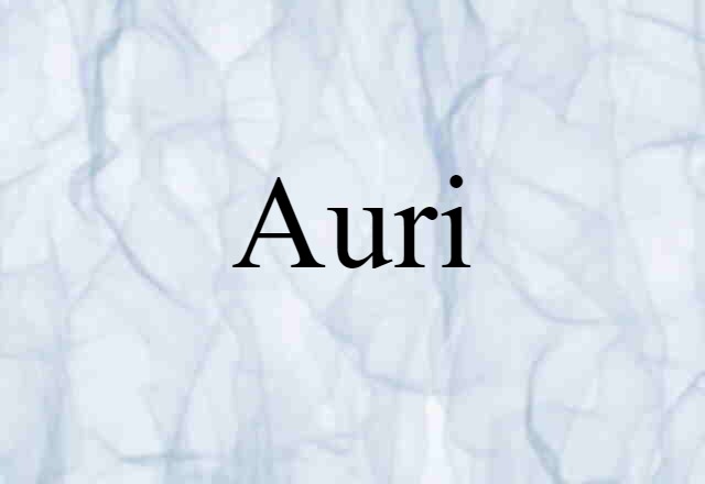 Auri (noun) Definition, Meaning & Examples