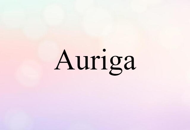 Auriga (noun) Definition, Meaning & Examples