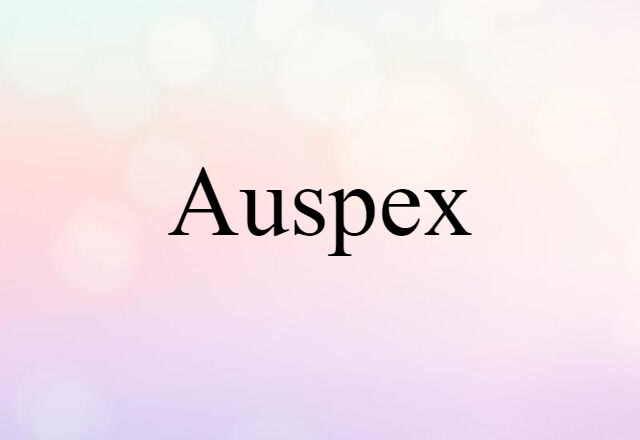 Auspex (noun) Definition, Meaning & Examples