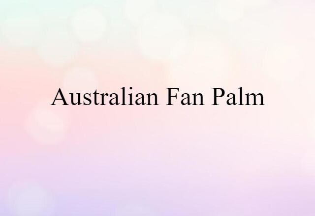 Australian fan palm