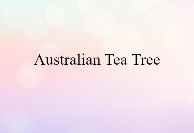 Australian tea tree