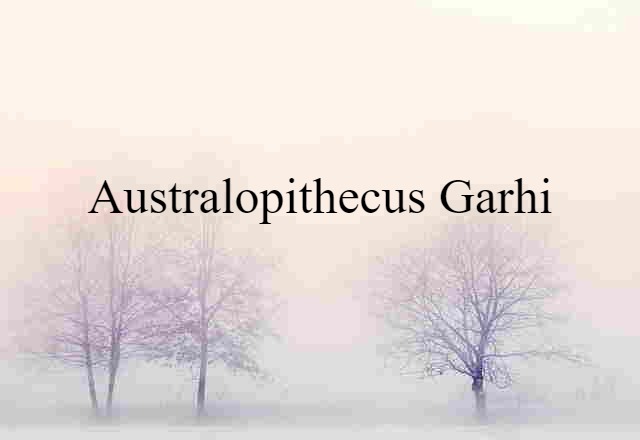 Australopithecus garhi