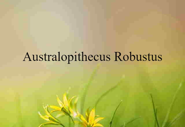 Australopithecus robustus