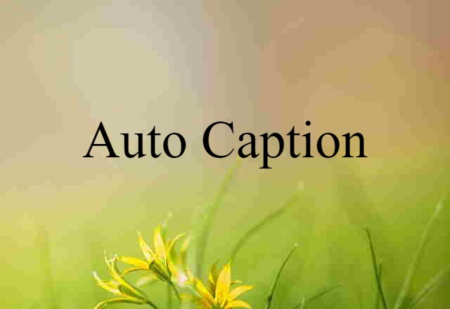 Auto Caption (noun) Definition, Meaning & Examples