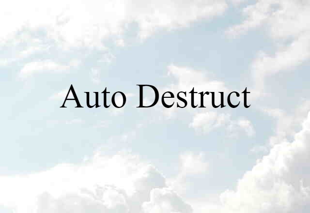 auto-destruct