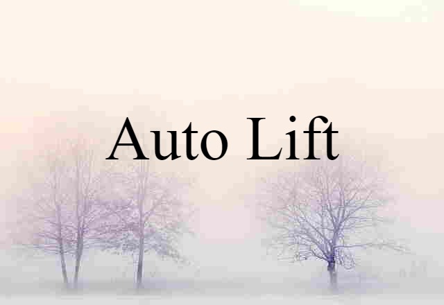 Auto Lift (noun) Definition, Meaning & Examples