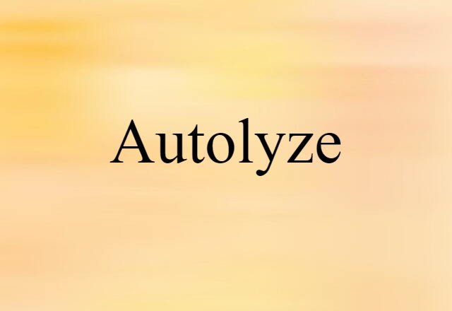 Autolyze (noun) Definition, Meaning & Examples