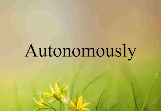 Autonomously (noun) Definition, Meaning & Examples