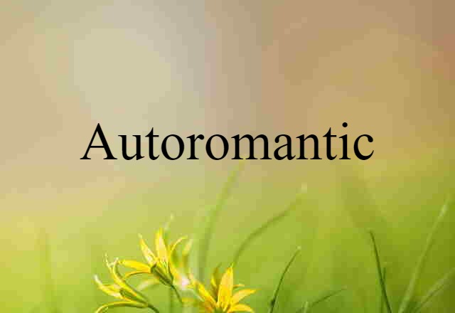 Autoromantic (noun) Definition, Meaning & Examples