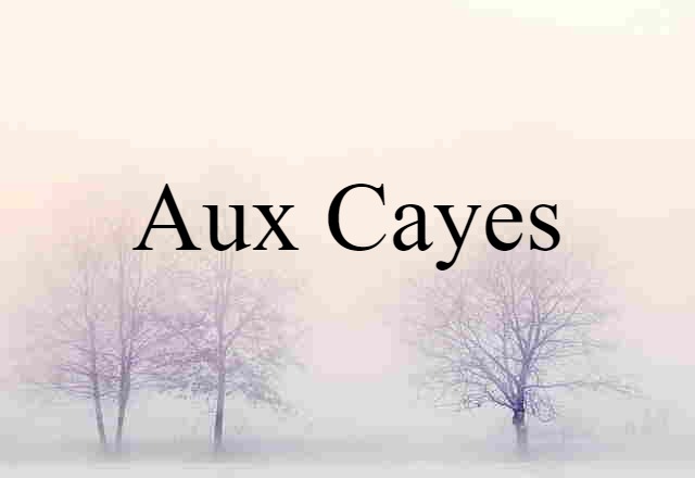 Aux Cayes (noun) Definition, Meaning & Examples