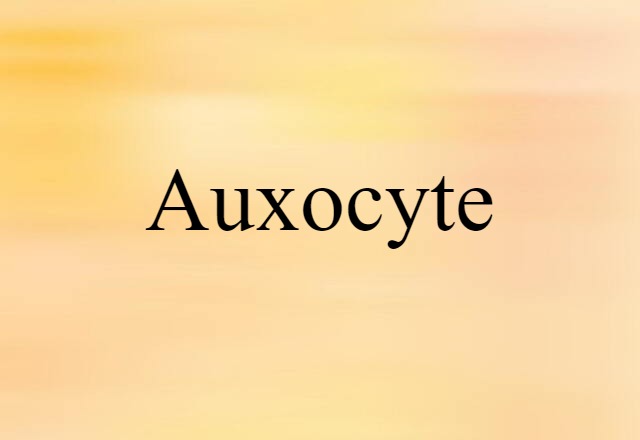 Auxocyte (noun) Definition, Meaning & Examples