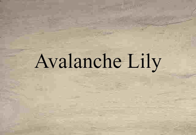 Avalanche Lily (noun) Definition, Meaning & Examples