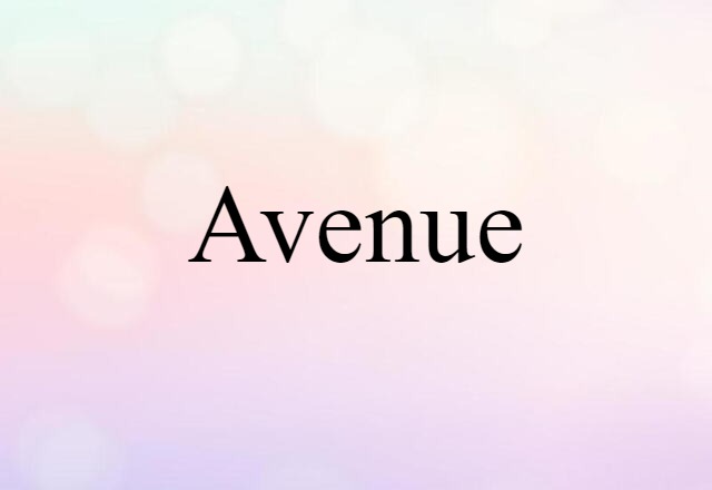 Avenue (noun) Definition, Meaning & Examples