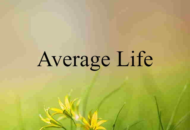 Average Life (noun) Definition, Meaning & Examples